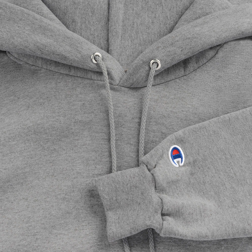 SPIRIT & TRUTH - Velvet Shadow - Adult Hoodie - heather gray